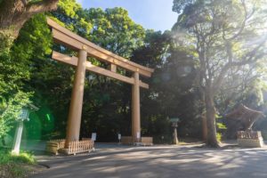 神社の夢は呼ばれてるサイン？知らない神社に行く夢のスピリチュアルな意味を解説 