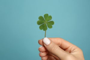 幸運な四葉のクローバーの待ち受け2023！四つ葉にこめられた意味は？