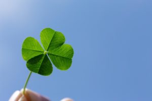 待ち受けと一緒に行いたい四葉のクローバーのおまじないは？