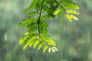 龍神がついている人が水と縁深いのはなぜ？