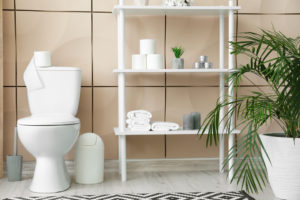トイレに観葉植物はよくないは嘘！風水的には金運アップの効果も