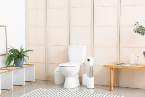 トイレに観葉植物を置くといいのは窓なしだから？風水的な理由