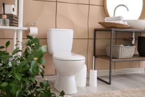 トイレに観葉植物を置く効果②：良い運気を取り込む