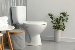 トイレに置くと運気が上がる観葉植物も紹介！これで運気アップ！