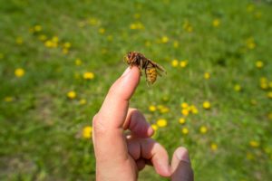 虫が体につく夢は？虫が出る夢の意味をシチュエーション別に15選紹介！