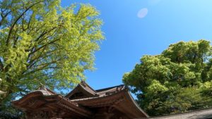 神社に歓迎されてないサインとは？神様に拒絶されているサイン10選