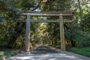 手入れがされておらずひどく汚れている・さびれている