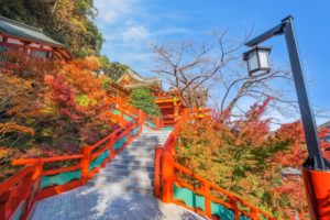 神社に歓迎されてないサインを感じる