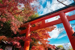 人気が高く人が多く集まる