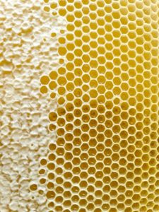 強力に運気の上がる待ち受け⑭：ハニーゴールドの画像