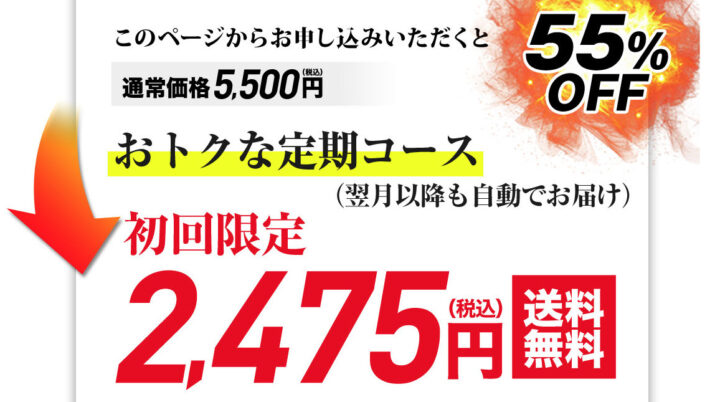 結論：公式サイトの定期初回なら55％オフでお得！
