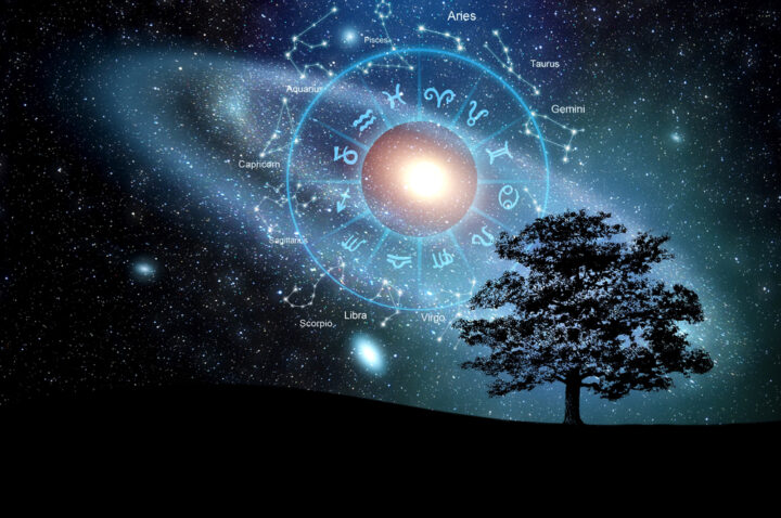 深夜タイプの芸能人は？基本の性格と天星ナンバー別の有名人を解説